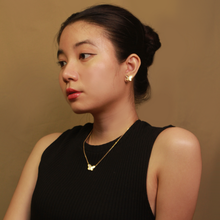 Load image into Gallery viewer, Gracie WIngs Set
