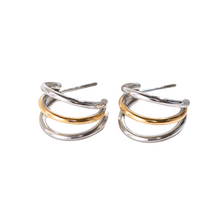 Load image into Gallery viewer, Lexi Earrings
