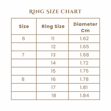 Load image into Gallery viewer, Nova Set
